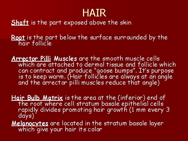 HAIR Shaft is the part exposed above the skin Root is the part below