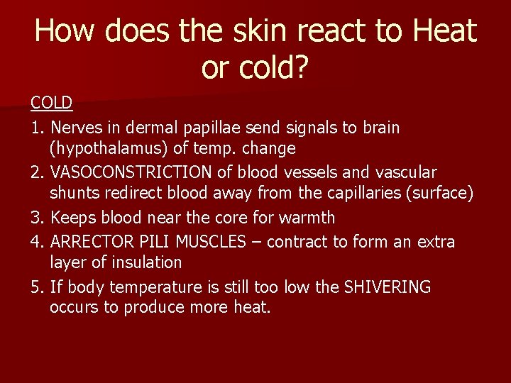 How does the skin react to Heat or cold? COLD 1. Nerves in dermal