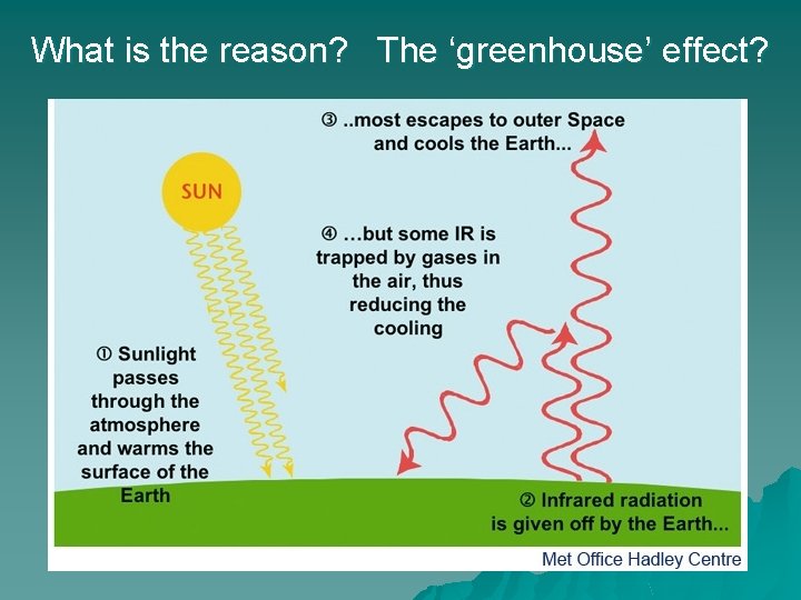 What is the reason? The ‘greenhouse’ effect? 