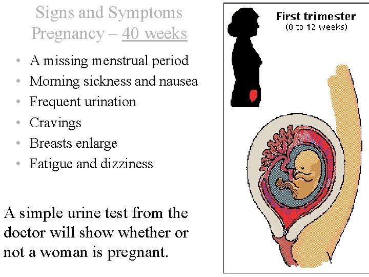 Signs and Symptoms Pregnancy – 40 weeks • • • A missing menstrual period