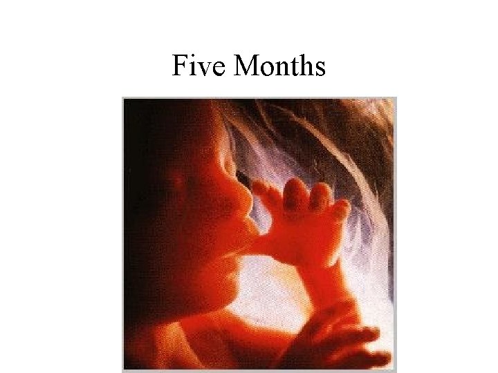 Five Months 