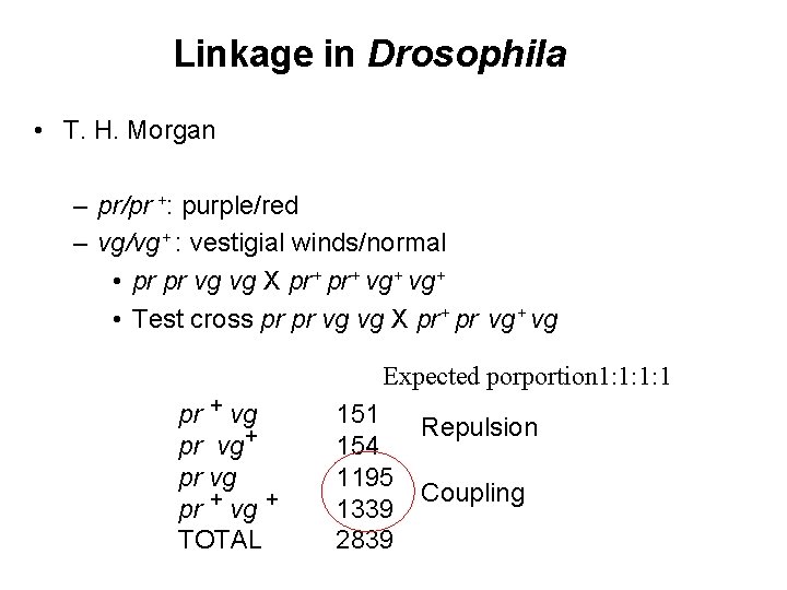Linkage in Drosophila • T. H. Morgan – pr/pr +: purple/red – vg/vg+ :