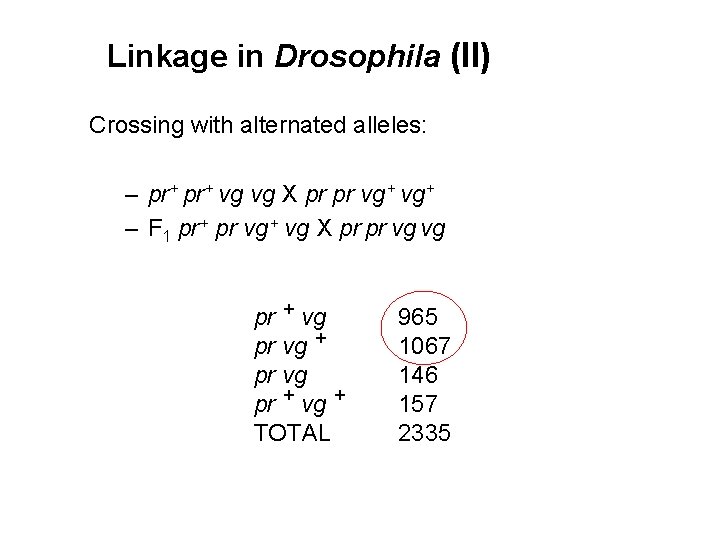 Linkage in Drosophila (II) Crossing with alternated alleles: – pr+ vg vg X pr