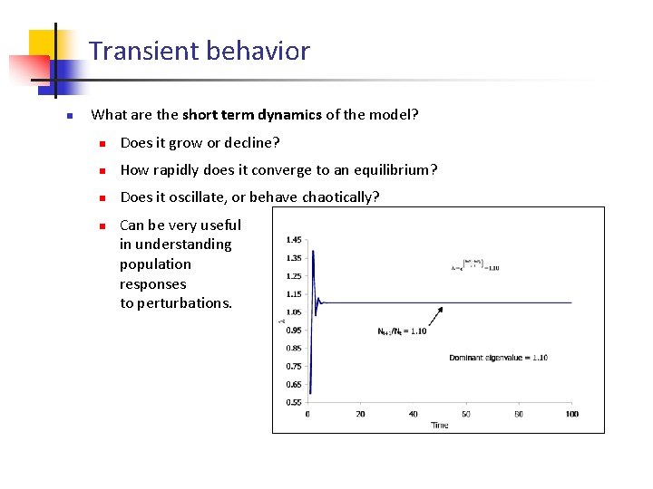 Transient behavior n What are the short term dynamics of the model? n Does