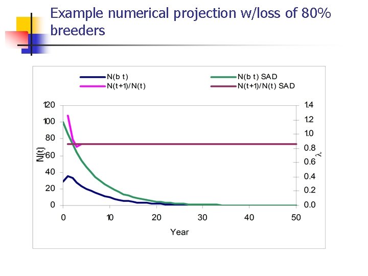 Example numerical projection w/loss of 80% breeders 