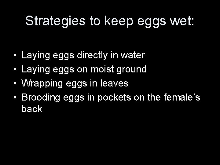 Strategies to keep eggs wet: • • Laying eggs directly in water Laying eggs
