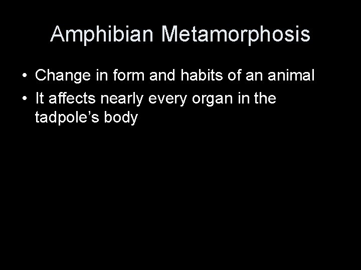 Amphibian Metamorphosis • Change in form and habits of an animal • It affects