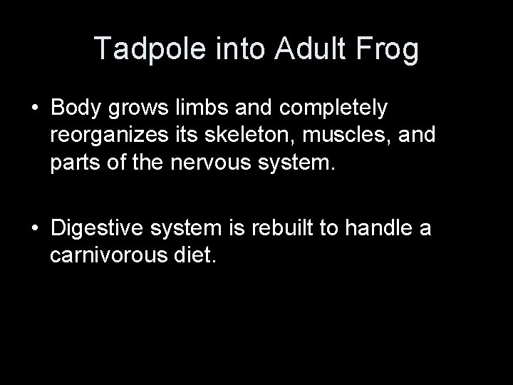 Tadpole into Adult Frog • Body grows limbs and completely reorganizes its skeleton, muscles,