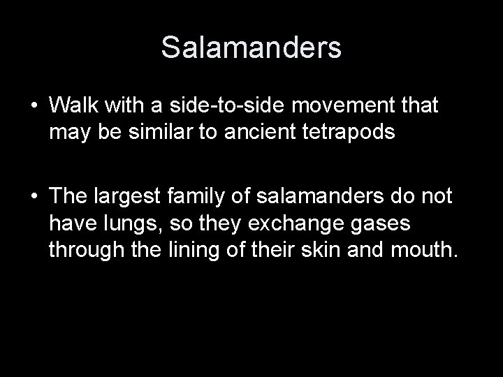 Salamanders • Walk with a side-to-side movement that may be similar to ancient tetrapods