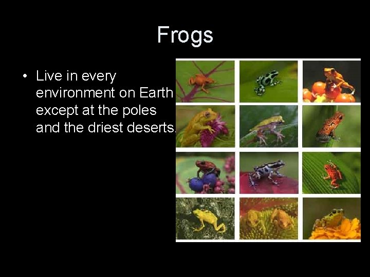 Frogs • Live in every environment on Earth except at the poles and the