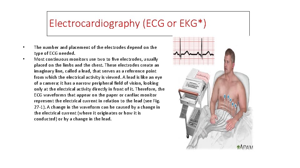 Electrocardiography (ECG or EKG*) • • The number and placement of the electrodes depend