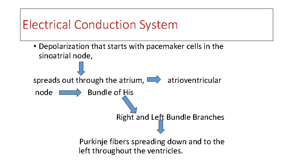 Electrical Conduction System • Depolarization that starts with pacemaker cells in the sinoatrial node,