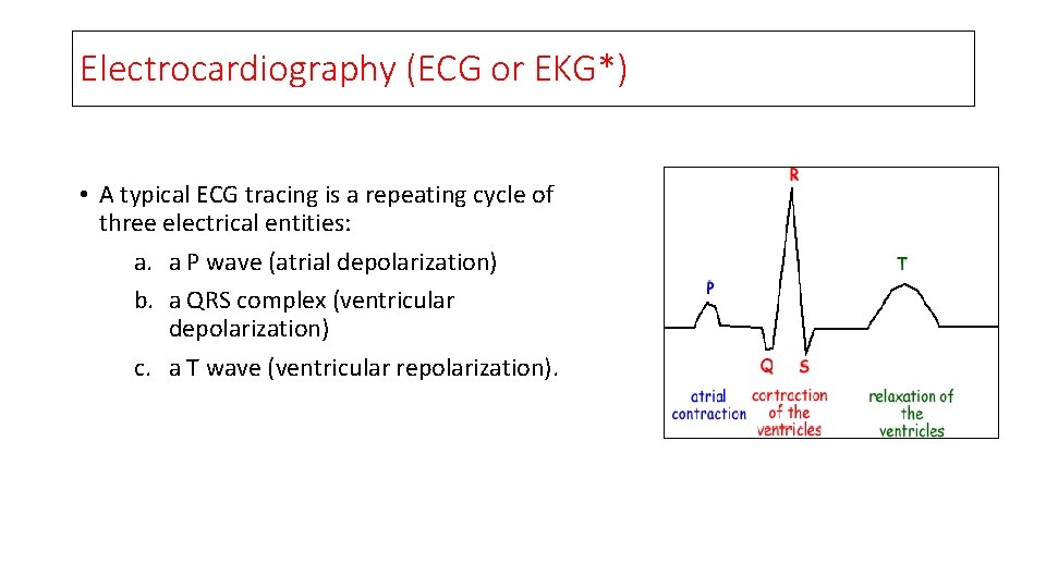 Electrocardiography (ECG or EKG*) • A typical ECG tracing is a repeating cycle of