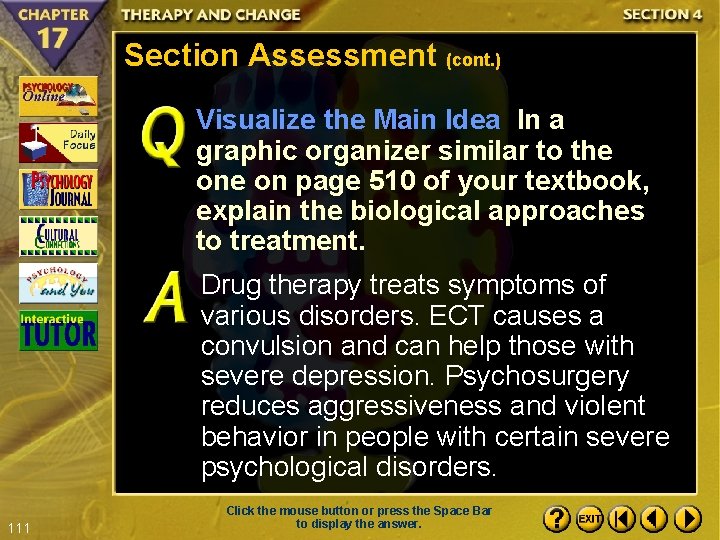 Section Assessment (cont. ) Visualize the Main Idea In a graphic organizer similar to