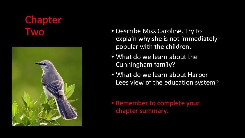 Chapter Two • Describe Miss Caroline. Try to explain why she is not immediately