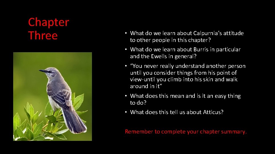 Chapter Three • What do we learn about Calpurnia’s attitude to other people in