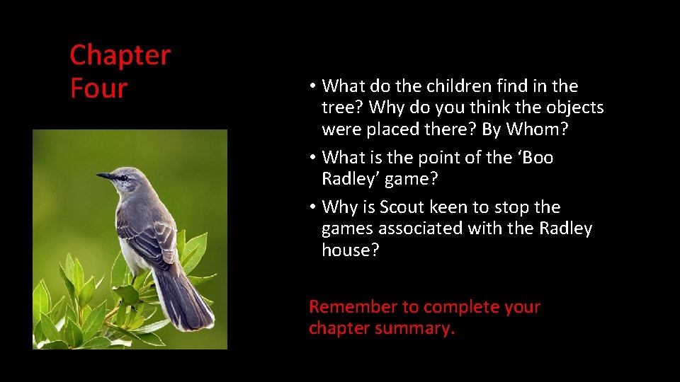 Chapter Four • What do the children find in the tree? Why do you