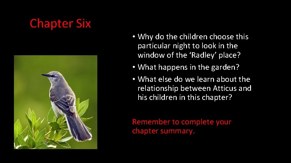 Chapter Six • Why do the children choose this particular night to look in