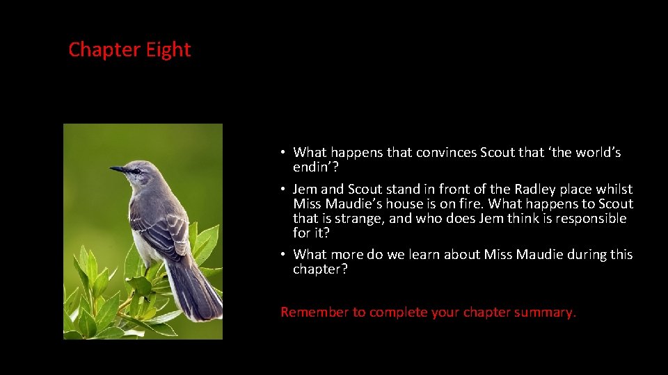 Chapter Eight • What happens that convinces Scout that ‘the world’s endin’? • Jem