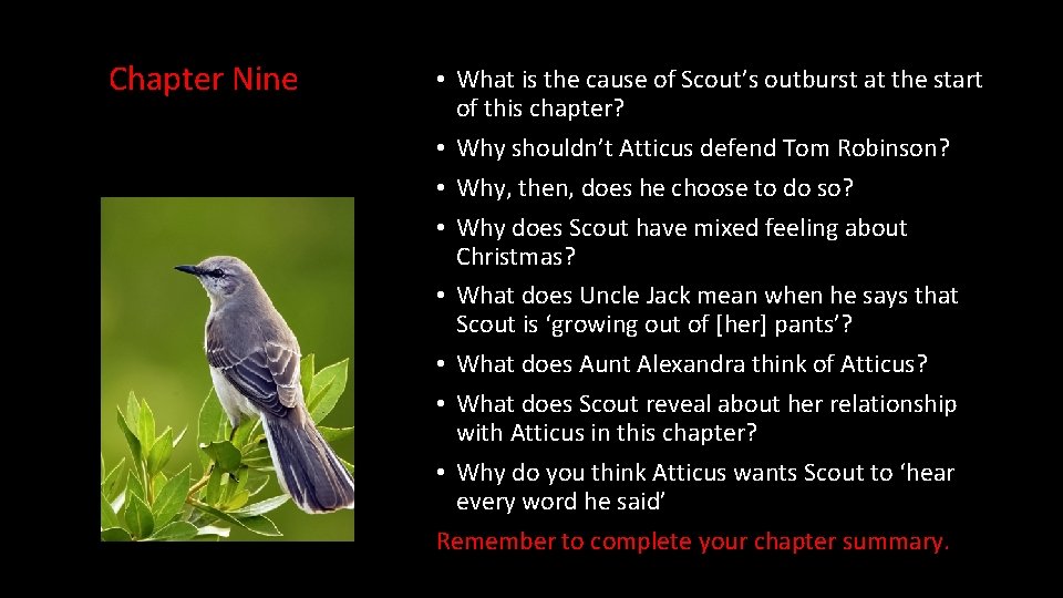 Chapter Nine • What is the cause of Scout’s outburst at the start of