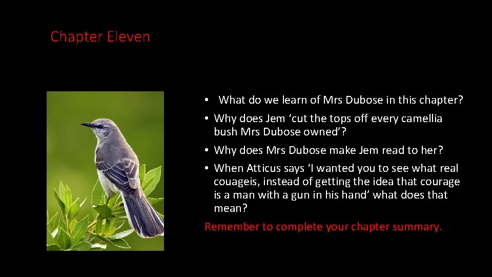 Chapter Eleven • What do we learn of Mrs Dubose in this chapter? •