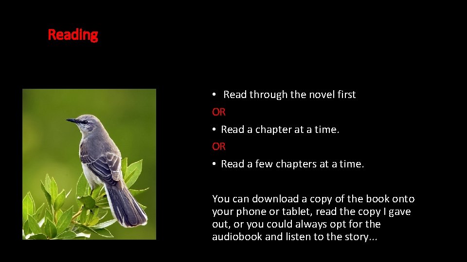 Reading • Read through the novel first OR • Read a chapter at a