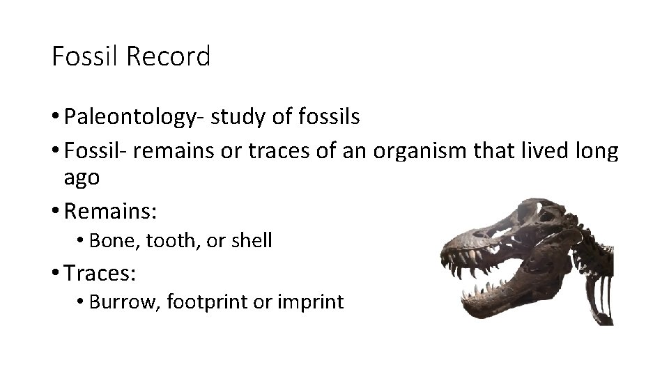 Fossil Record • Paleontology- study of fossils • Fossil- remains or traces of an