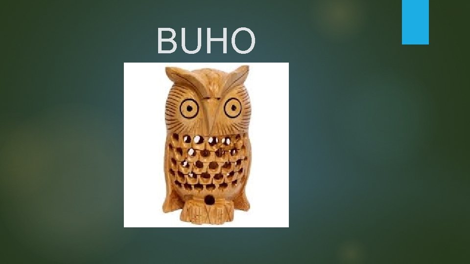 BUHO 