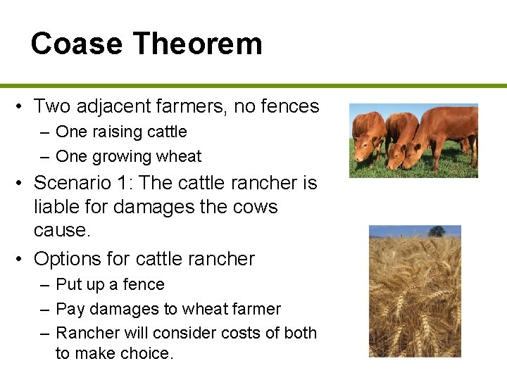 Coase Theorem • Two adjacent farmers, no fences – One raising cattle – One