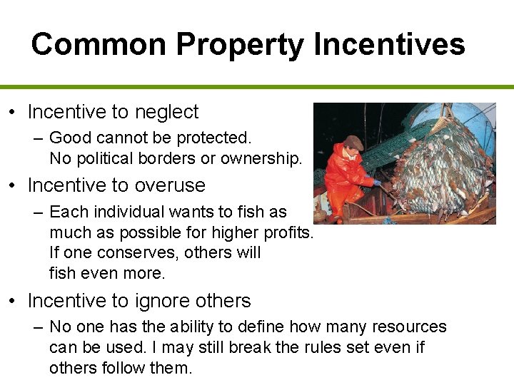 Common Property Incentives • Incentive to neglect – Good cannot be protected. No political