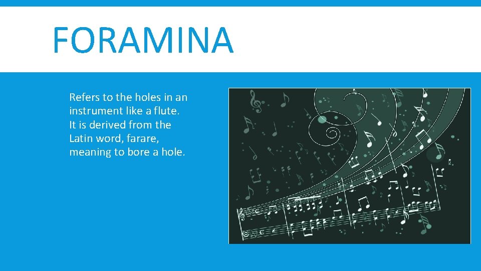 FORAMINA Refers to the holes in an instrument like a flute. It is derived