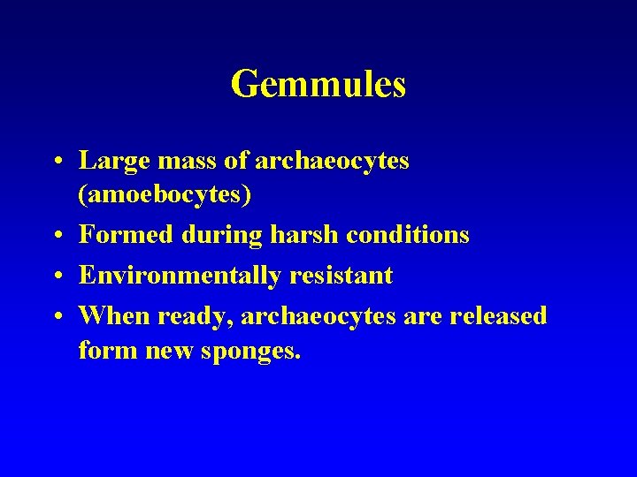 Gemmules • Large mass of archaeocytes (amoebocytes) • Formed during harsh conditions • Environmentally