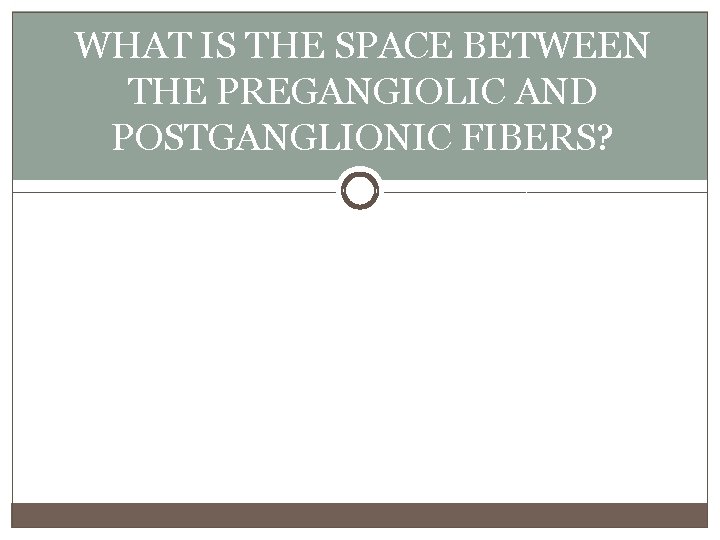 WHAT IS THE SPACE BETWEEN THE PREGANGIOLIC AND POSTGANGLIONIC FIBERS? 