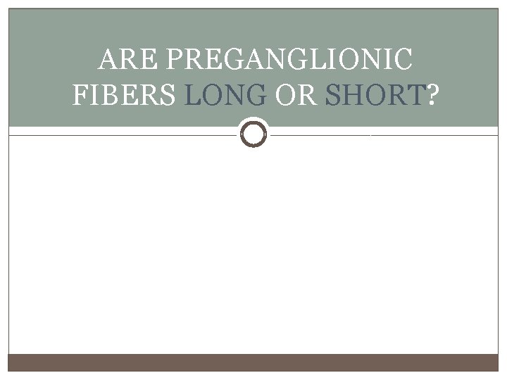 ARE PREGANGLIONIC FIBERS LONG OR SHORT? 