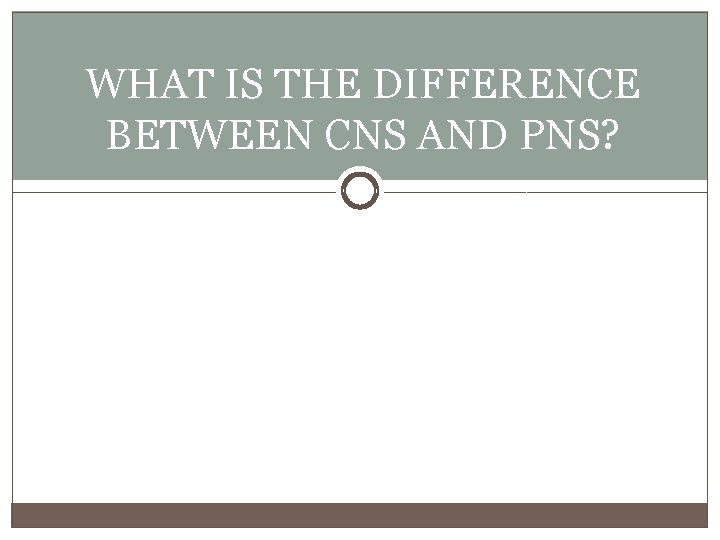 WHAT IS THE DIFFERENCE BETWEEN CNS AND PNS? 