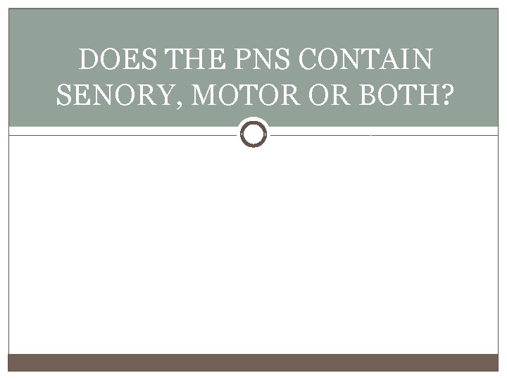 DOES THE PNS CONTAIN SENORY, MOTOR OR BOTH? 