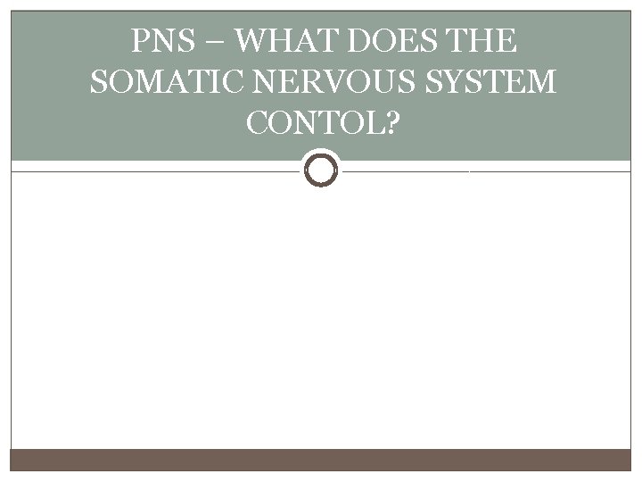 PNS – WHAT DOES THE SOMATIC NERVOUS SYSTEM CONTOL? 