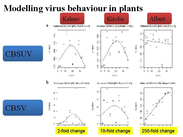 Modelling virus behaviour in plants Kaleso Kiroba Albert 2 -fold change 10 -fold change