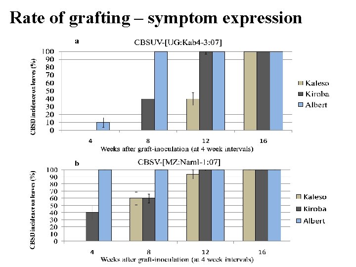 Rate of grafting – symptom expression 