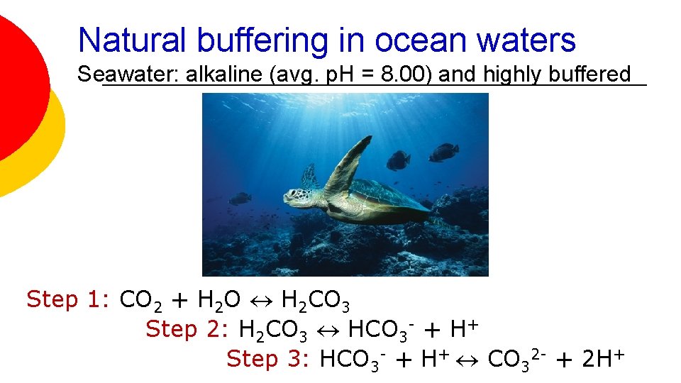 Natural buffering in ocean waters Seawater: alkaline (avg. p. H = 8. 00) and