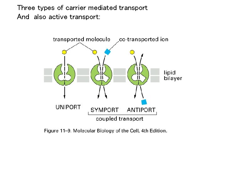 Three types of carrier mediated transport And also active transport: 