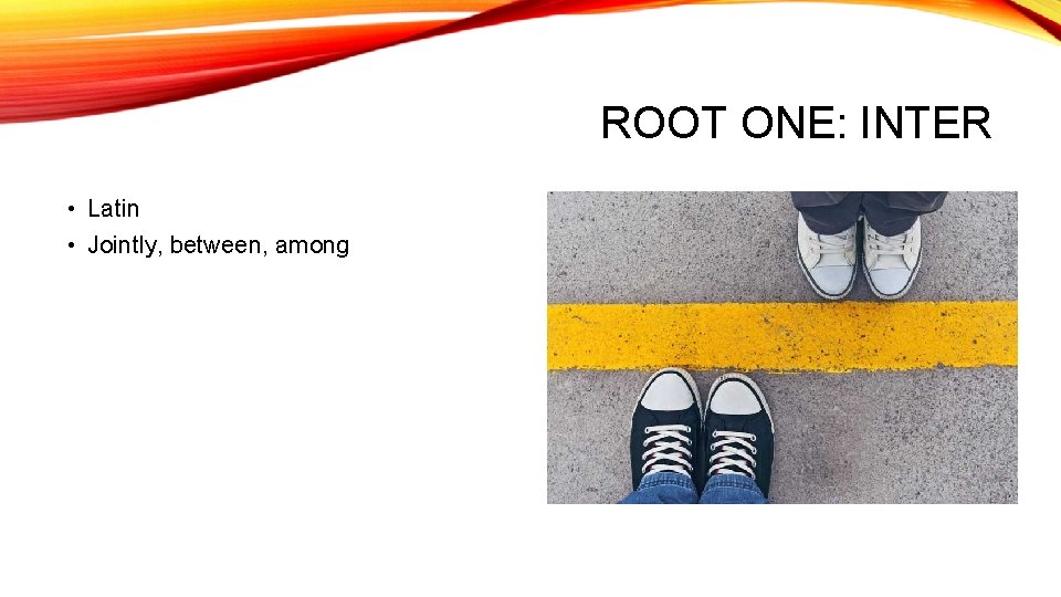 ROOT ONE: INTER • Latin • Jointly, between, among 