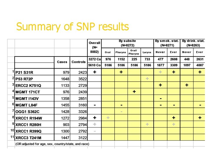 Summary of SNP results + significant increased risk, - significant decreased risk, gray=borderline 