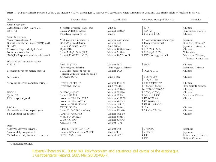 Roberts-Thomson IC, Butler WJ. Polymorphism and squamous cell cancer of the esophagus. J Gastroenterol