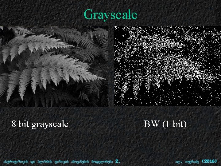 Grayscale 8 bit grayscale BW (1 bit) 
