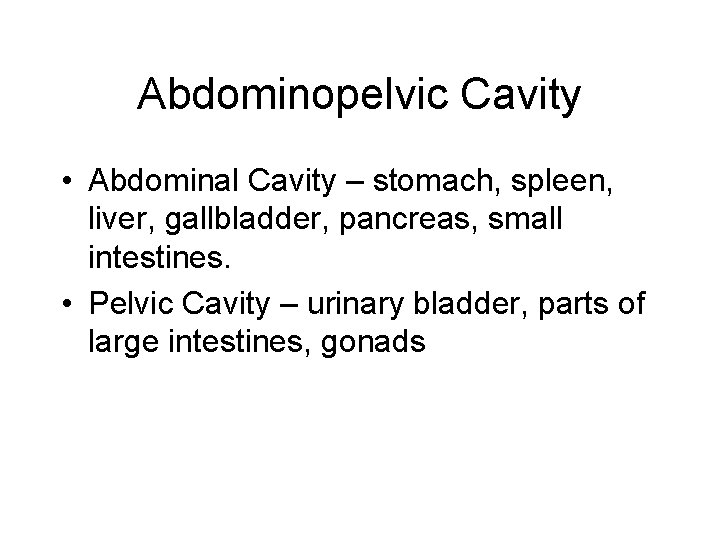 Abdominopelvic Cavity • Abdominal Cavity – stomach, spleen, liver, gallbladder, pancreas, small intestines. •