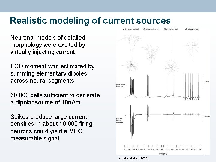 Realistic modeling of current sources Neuronal models of detailed morphology were excited by virtually