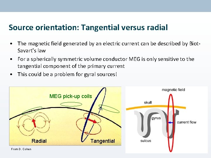 Source orientation: Tangential versus radial • The magnetic field generated by an electric current