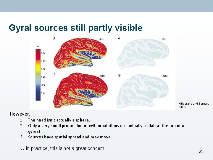 Gyral sources still partly visible Hillebrand Barnes, 2002 However, 1. The head isn’t actually