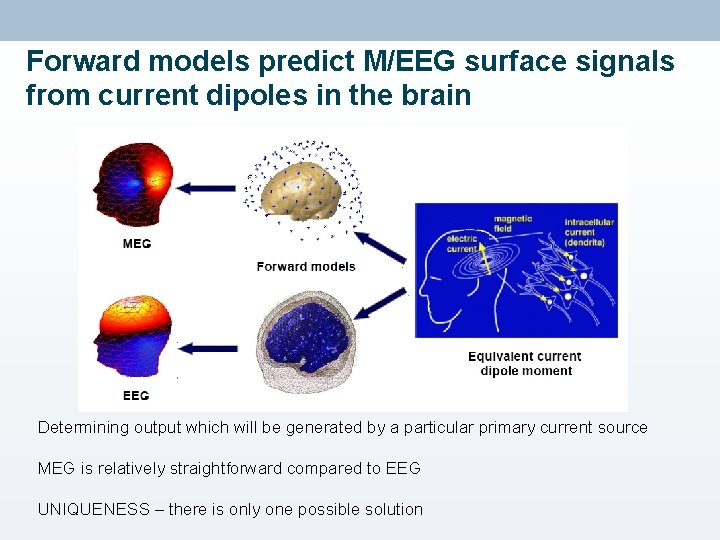 Forward models predict M/EEG surface signals from current dipoles in the brain Determining output